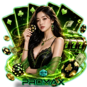 playpro max24