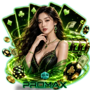 pro max 24game